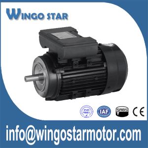 AC motor